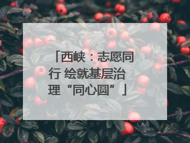 西峡：志愿同行 绘就基层治理“同心圆”