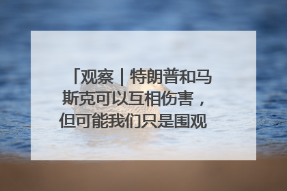 观察｜特朗普和马斯克可以互相伤害，但可能我们只是围观了一场闹剧