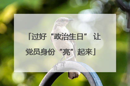 过好“政治生日” 让党员身份“亮”起来