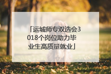 运城师专双选会3018个岗位助力毕业生高质量就业