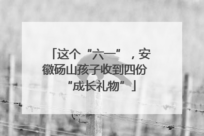 这个“六一”，安徽砀山孩子收到四份“成长礼物”