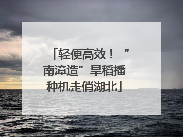 轻便高效！“南漳造”旱稻播种机走俏湖北