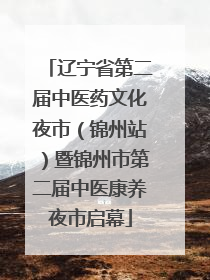 辽宁省第二届中医药文化夜市（锦州站）暨锦州市第二届中医康养夜市启幕
