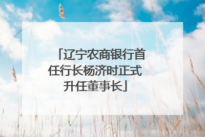 辽宁农商银行首任行长杨济时正式升任董事长