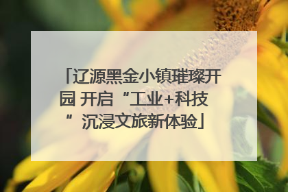 辽源黑金小镇璀璨开园 开启“工业+科技”沉浸文旅新体验