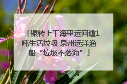 辗转上千海里运回逾1吨生活垃圾 泉州远洋渔船“垃圾不落海”