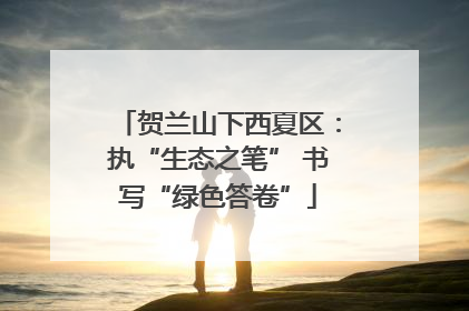 贺兰山下西夏区：执“生态之笔” 书写“绿色答卷”