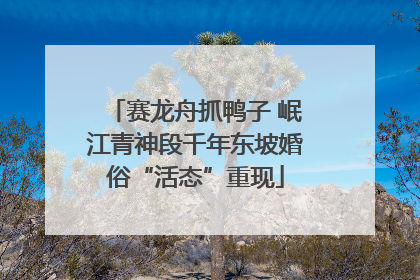 赛龙舟抓鸭子 岷江青神段千年东坡婚俗“活态”重现