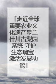 走近全球重要农业文化遗产皋兰什川古梨园系统 守护生态瑰宝 激活发展动能