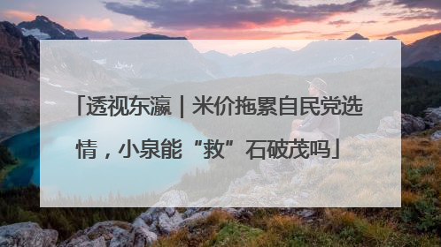透视东瀛｜米价拖累自民党选情，小泉能“救”石破茂吗