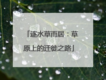逐水草而居：草原上的迁徙之路