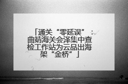 通关“零延误”：曲靖海关会泽集中查检工作站为云品出海架“金桥”