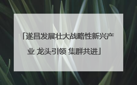 遂昌发展壮大战略性新兴产业 龙头引领 集群共进