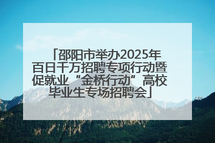邵阳市举办2025年百日千万招聘专项行动暨促就业“金桥行动”高校毕业生专场招聘会