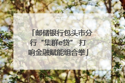 邮储银行包头市分行“集群e贷” 打响金融赋能组合拳