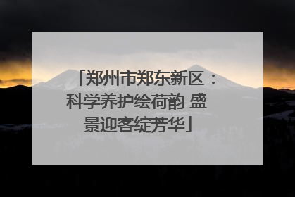 郑州市郑东新区：科学养护绘荷韵 盛景迎客绽芳华