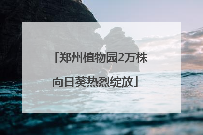 郑州植物园2万株向日葵热烈绽放