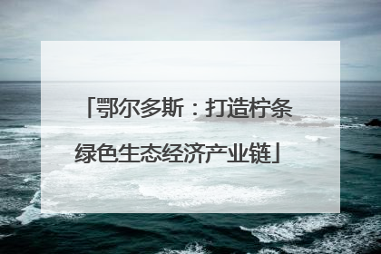 鄂尔多斯：打造柠条绿色生态经济产业链