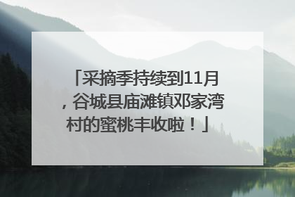 采摘季持续到11月，谷城县庙滩镇邓家湾村的蜜桃丰收啦！