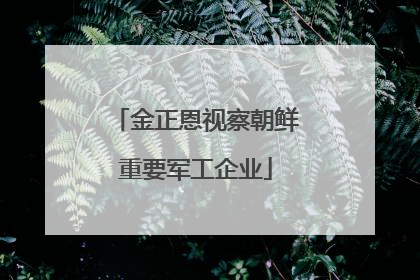 金正恩视察朝鲜重要军工企业