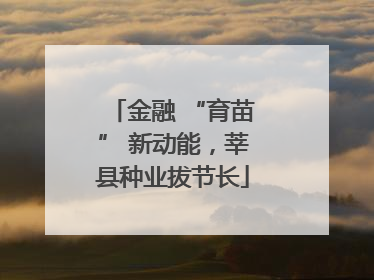 金融 “育苗” 新动能，莘县种业拔节长