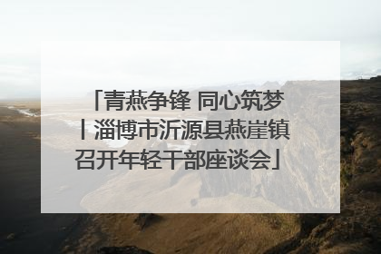青燕争锋 同心筑梦丨淄博市沂源县燕崖镇召开年轻干部座谈会
