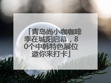 青岛尚小咖咖啡季在城阳启幕，80个中韩特色展位邀你来打卡