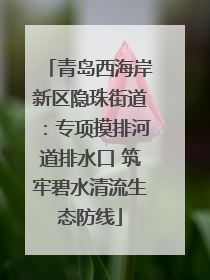 青岛西海岸新区隐珠街道：专项摸排河道排水口 筑牢碧水清流生态防线