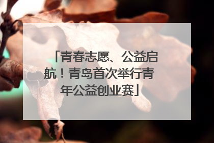 青春志愿、公益启航！青岛首次举行青年公益创业赛