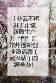 非武不栖 进无止境 新质生产力“智”汇常州创新创业邀请赛（武汉站）圆满举办
