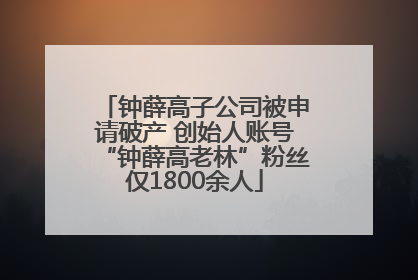 钟薛高子公司被申请破产 创始人账号“钟薛高老林”粉丝仅1800余人
