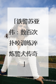 铁警苏亚伟：数百次扑咬训练淬炼警犬传奇