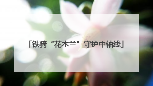 铁骑“花木兰”守护中轴线