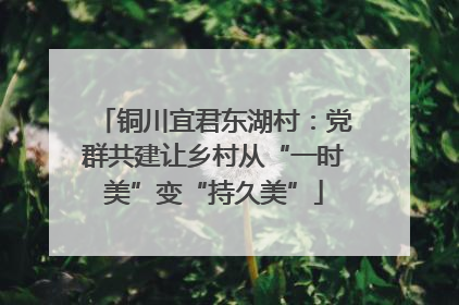 铜川宜君东湖村：党群共建让乡村从“一时美”变“持久美”