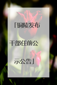 铜陵发布干部任前公示公告