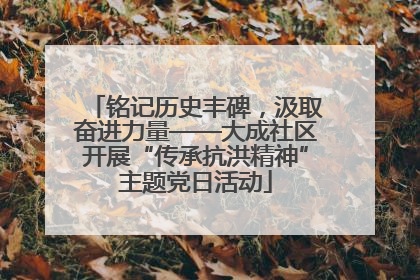 铭记历史丰碑，汲取奋进力量——大成社区开展“传承抗洪精神”主题党日活动