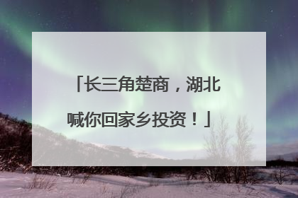 长三角楚商，湖北喊你回家乡投资！