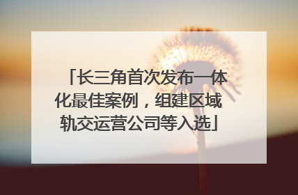 长三角首次发布一体化最佳案例，组建区域轨交运营公司等入选
