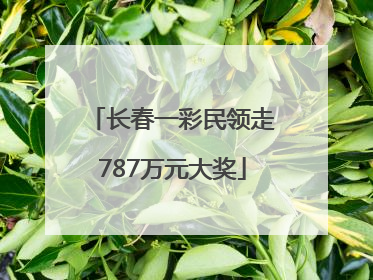 长春一彩民领走787万元大奖
