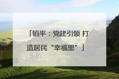 镇平：党建引领 打造居民“幸福里”