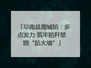 阜南县鹿城镇：多点发力 筑牢秸秆禁烧“防火墙”