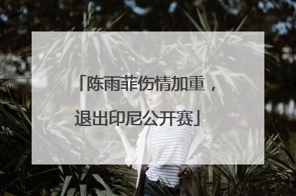 陈雨菲伤情加重，退出印尼公开赛