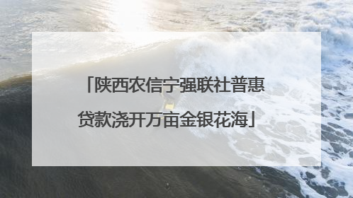 陕西农信宁强联社普惠贷款浇开万亩金银花海