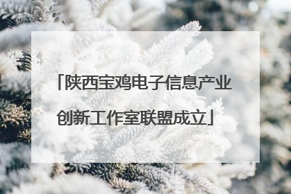 陕西宝鸡电子信息产业创新工作室联盟成立