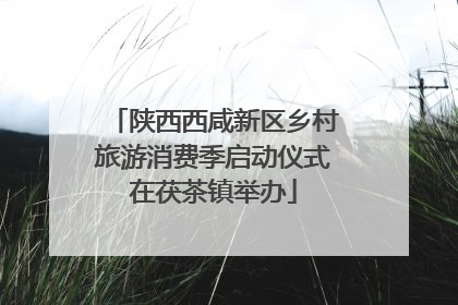 陕西西咸新区乡村旅游消费季启动仪式在茯茶镇举办