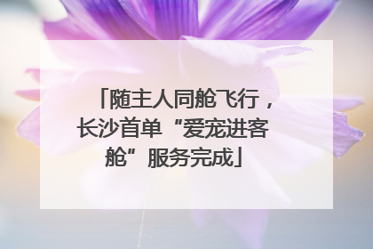 随主人同舱飞行，长沙首单“爱宠进客舱”服务完成