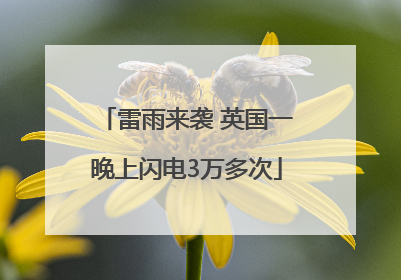 雷雨来袭 英国一晚上闪电3万多次