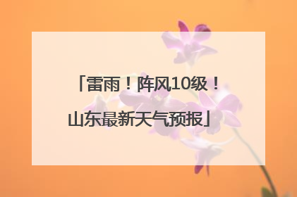 雷雨！阵风10级！山东最新天气预报
