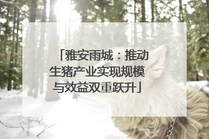 雅安雨城：推动生猪产业实现规模与效益双重跃升