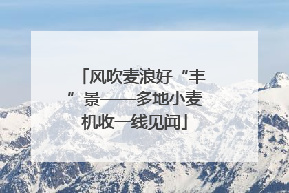 风吹麦浪好“丰”景——多地小麦机收一线见闻